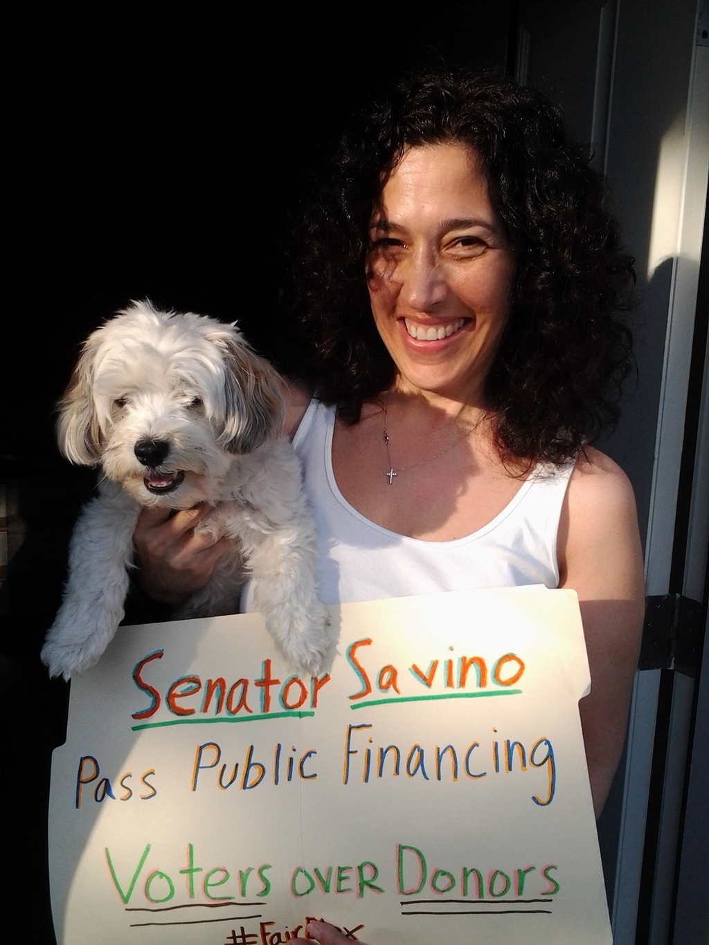 Tell Senator Savino to pass #fairelex!
