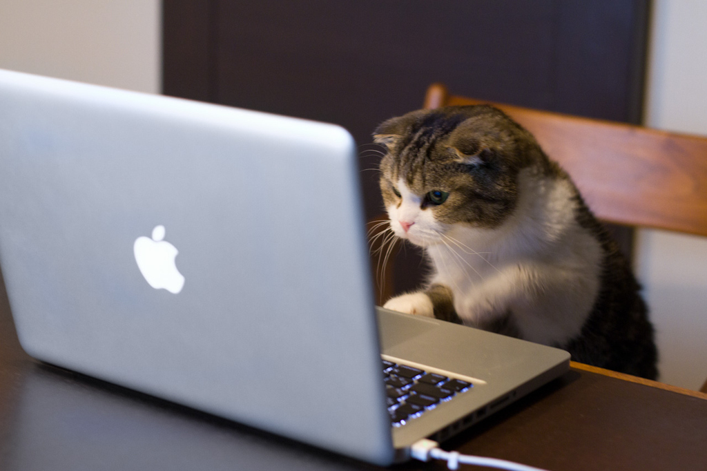 You've only checked gchat like 5 times.