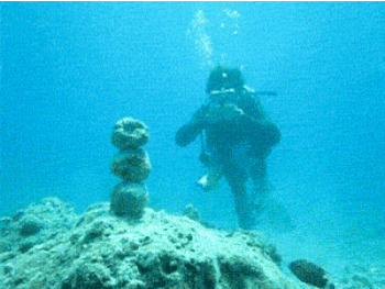 All bow to Prince Snorkel, Crown Heir to the Deep End.