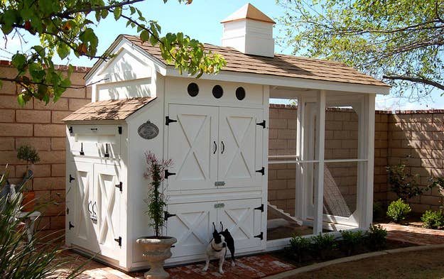 21 Positively Dreamy Chicken Coops