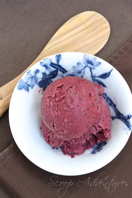 I love blueberries, I love pancakes...so is this the icecream version of blueberry pancakes?