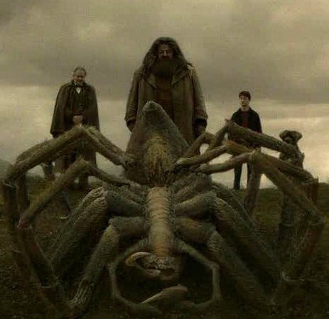 As Aragog in Harry Potter and the Chamber of Secrets