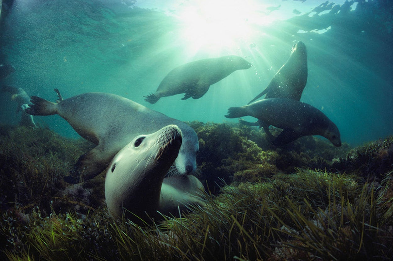 18 Jaw-Dropping Ocean Photos You Have To See Right This Second