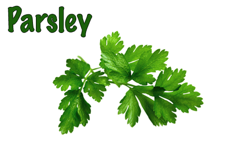 Parsley is a rich source of antioxidants, folic acid, vitamin C, and vitamin A, and you don't benefit from it when you just use it as a garnish. Juicing a high quantity of parsley will help flush out excess fluid from the body, protect cells, and remove free radicals.Juicing Tip: Parsley has a dominating taste that can be a bit off-putting in large quantities. Try this detoxifying fruit/veggie combo to balance the flavors: 1 bunch parsley1 bunch kale3 large Granny Smith apples1 cucumber2 lemons