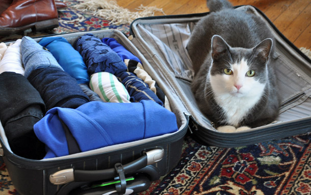 Splitting two travelers' belongings among several suitcases won't result in confusing sock mix ups if you do it right. Use organizers, such as packing cubes, compression bags, gallon-size zip-top bags, or packing folders, to keep your belongings separate. Or, like me, you can use the poor man's packing cube—a plastic grocery bag.