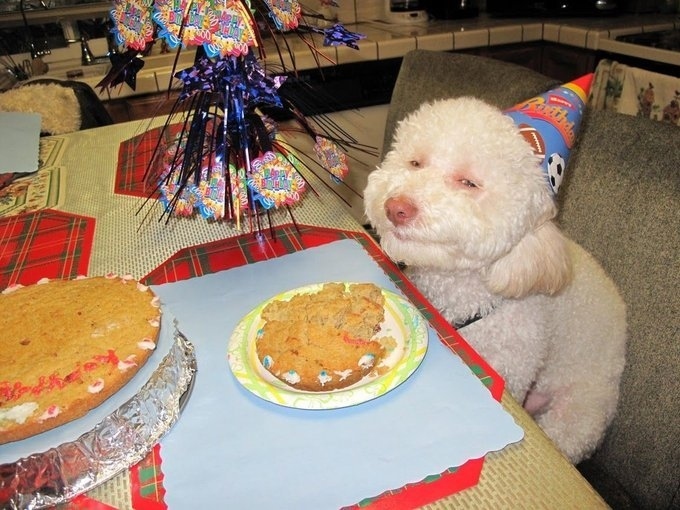 Whose birthday is it again? Oh right... THIS GUY’S.