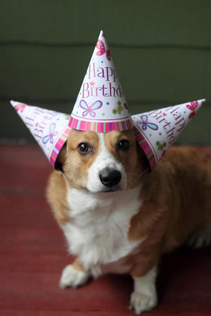 Yeah, I'm wearing three hats. Got a problem with three hats? It's my party and I'll wear three hats if I want to.