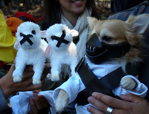 Mask that pup and silence those lambs.