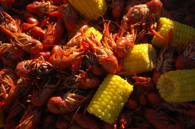 You can find this staple just about anywhere when crawfish are in season in the spring, but Big Fisherman is one of the best places to go. Get a few pounds with some boiled corn and potatoes, and you’re all set for a crawfeast!