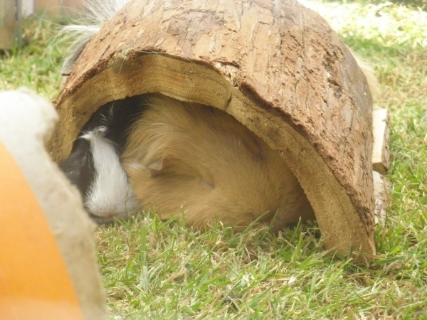 This is how we like to relax after a hard days work