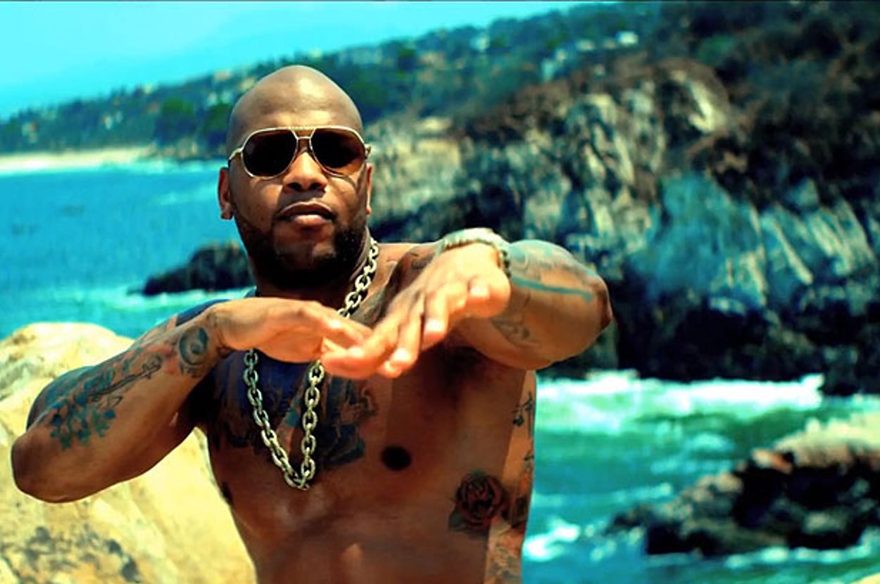 Flo Rida Shone Genius 14 Bizarre Lyrics That Prove Flo Rida Knows No One Can Understand What ...