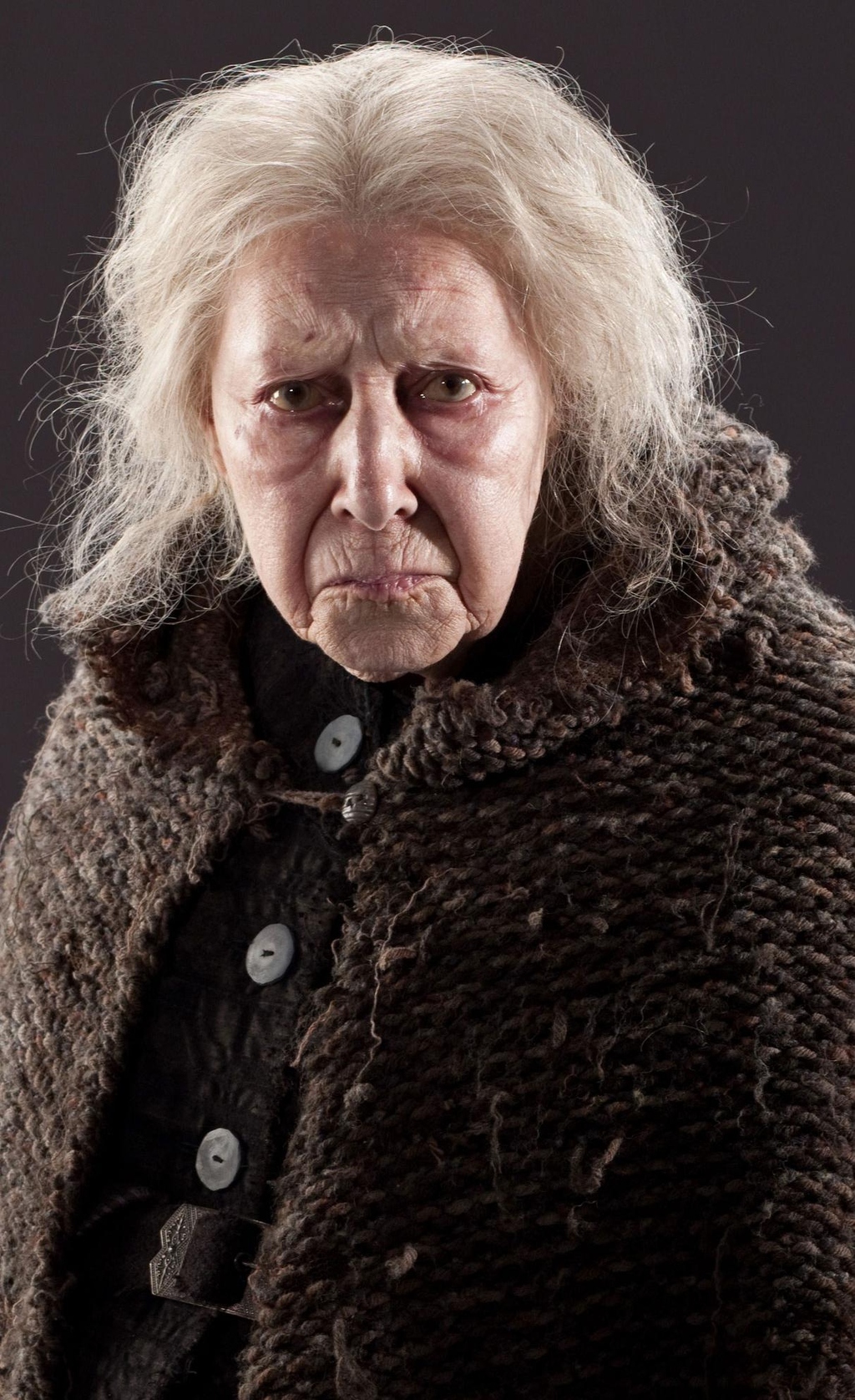 Dumbledore was pals with Bathilda Bagshot, author of A History of Magic, and Nicolas Flamel-creator of the Philosopher's Stone, no biggie.