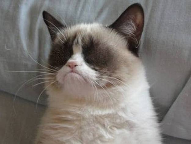 Can You Make Grumpy Cat Happy Again
