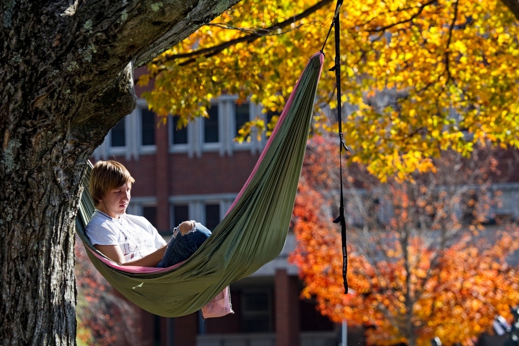 When it comes to "hanging out," we've got it down to a T. Hammocks everywhere.