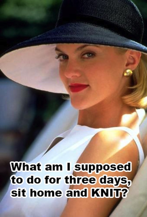 Food for thought: maybe if she-devil Meredith Blake had channeled her considerable amount of horrible uptight energy into crafting an afghan or a pair of socks, she would have been invited on the Parker-James family camping trip in the first place, and Hallie and Annie wouldn't have loathed her so much they made her suck on a lizard and nearly drown on a waterborne air mattress in the service of reuniting their estranged parents. But yeah, just a thought.