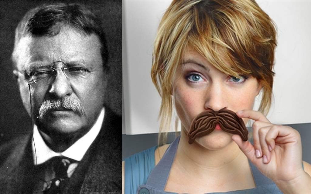 "I moustache you a question: why do you disrespect me like that? After all I did for national parks?"