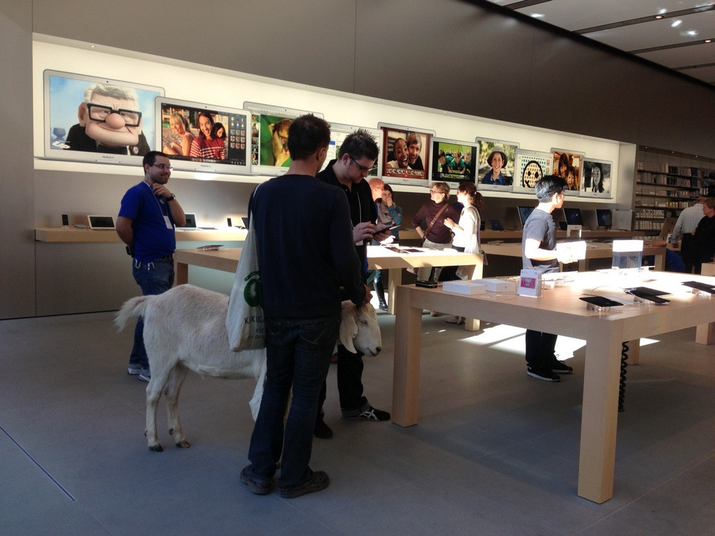 my friend here would like the new ipad please...