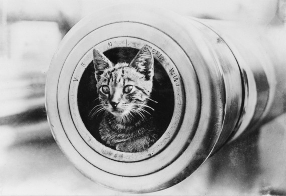 He served the Aussies for four spectacular years aboard the Royal Australian Navy's HMAS Encounter, from 1914-1918.