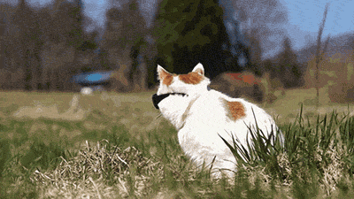 Oop! Time to go back in.