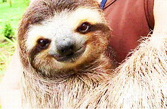 "How're you?" "Good, you?" "Good as well, you?" *awkward silence*