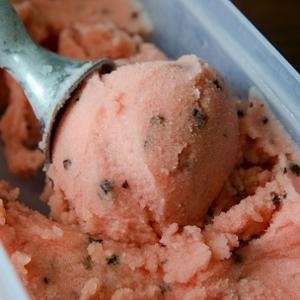 Cocoa nibs add a bitter note, tempering the sweetness of icy, luscious watermelon sorbet.