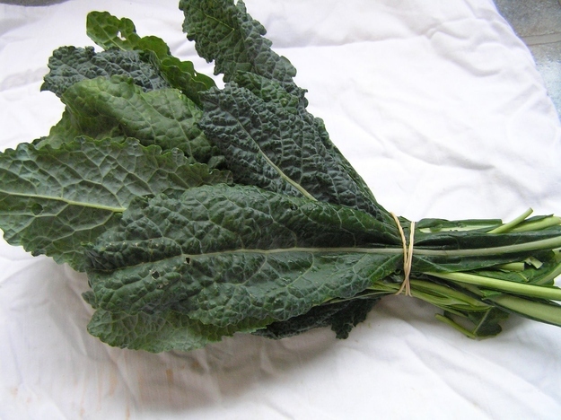 Kale: Health benefits, nutrition, diet, and risks