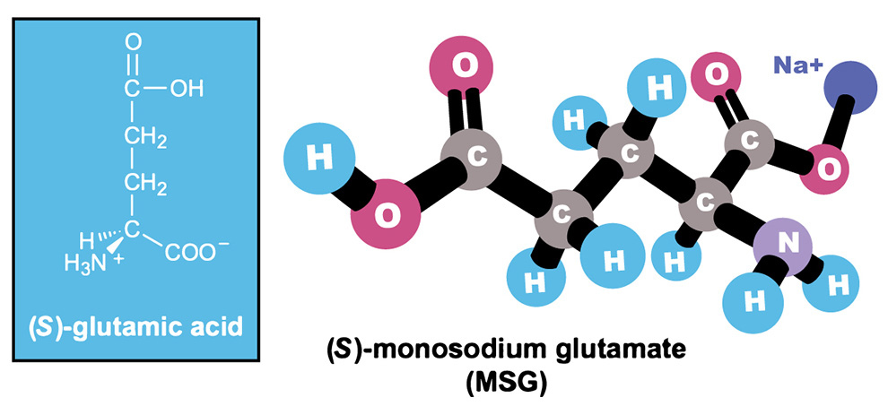 Monosodium Glutamate (MSG) - Structure, Properties & Uses