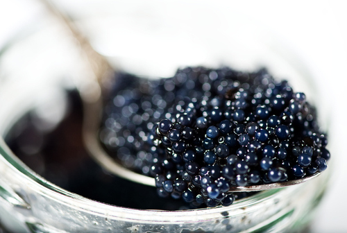 Ingredients in Vine Vera products are taken from a vast array of natural resources.
