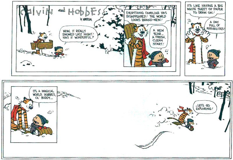 Calvin and Hobbes are more than just a dynamic duo, they are best friends. They do everything together, and understand each other. Much respect for their adventures.