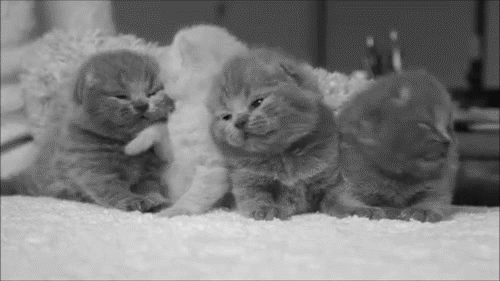 They just let *anyone* in here, don't they?