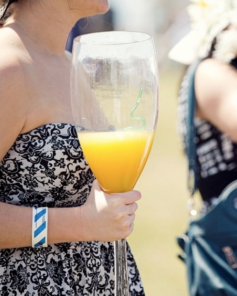 Get an XXL wine glass here for $12.