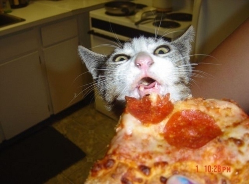 You're making the exact same face, right now.