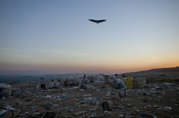 In this May 29, 2012 photo, a vulture flies over Jardim Gramacho, one of the world's largest open-air landfills, in Rio de Janeiro, Brazil. Jardim Gramacho, a vast, seaside mountain of trash where thousands of people made a living sorting through the debris by hand, is closing after three decades in service.