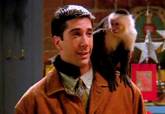 I couldn't end this post without paying special tribute to Marcel. Unfortunately he had to be sent to zoo due to "growing" problems. It was nice to see him again doing work in commercials and movies. Watching the gang sing "In the Jungle" to get Marcel to come back to Ross was emotional for everyone.