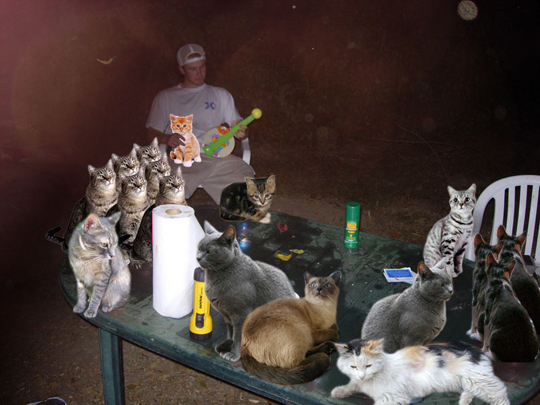Below: Boozecat Camping, the only type of camping I would ever consider. (Lie. I'd prefer the un-Shopped.)
