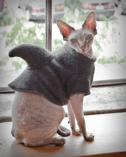 You can get this special feline sweater on etsy for $32.