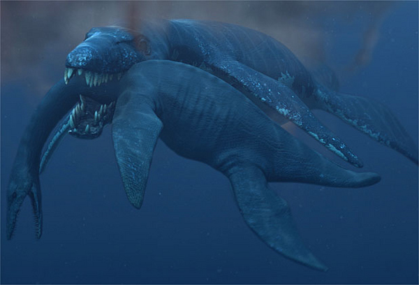 The pliosaur would have been about 50 feet long. It is thought to have lived in the Jurassic oceans 147 million years ago.