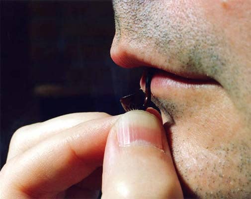 tiny-pipe-17189-1238557522-20.jpg