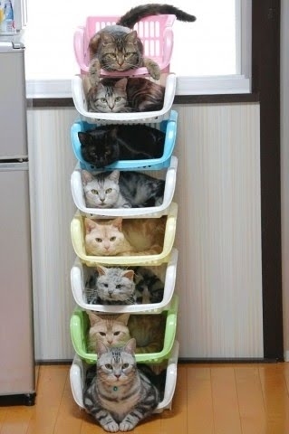 This attractive, colorful filing system will help you keep them organized and out of the way until you need one.