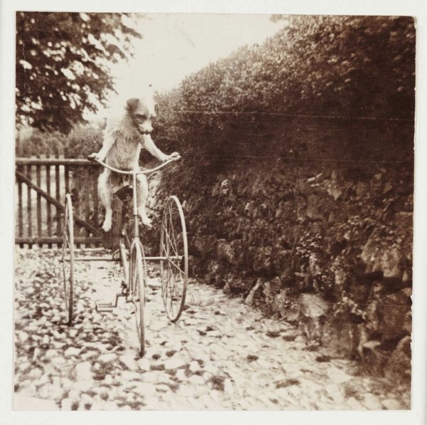How's he supposed to reach the pedals?