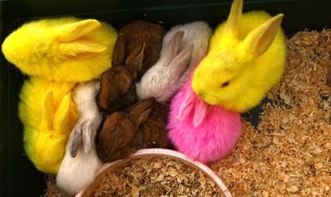 At least this way they still have value a week after Easter.