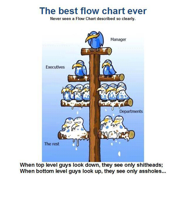 Best Org Chart Ever!!!! [PIC]