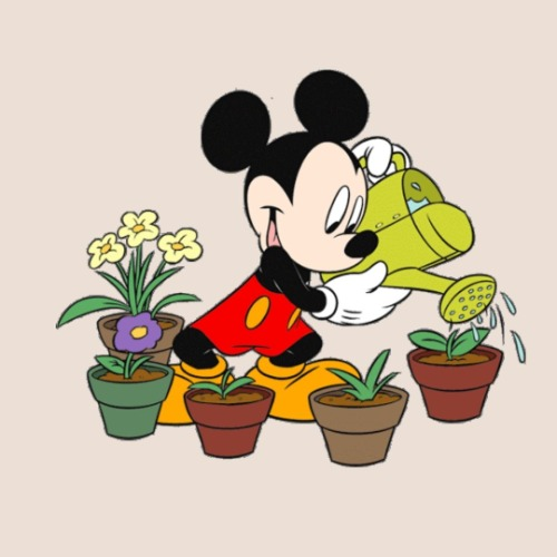 wishuponaplant