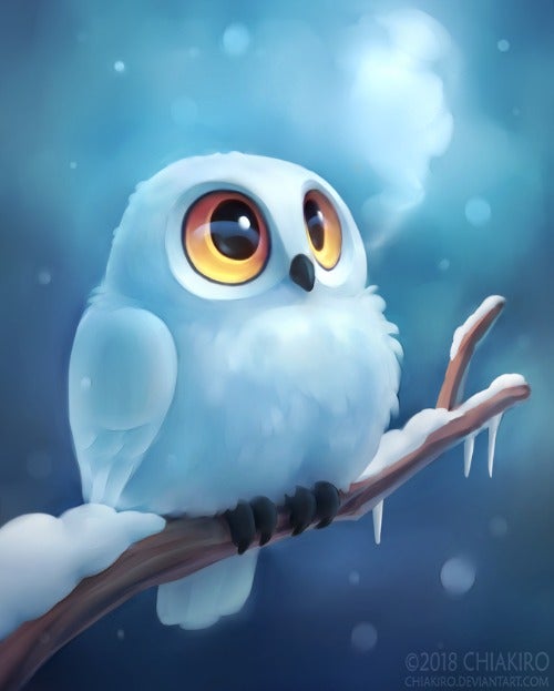 Owl_Knight's avatar