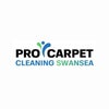 procarpetcleaning