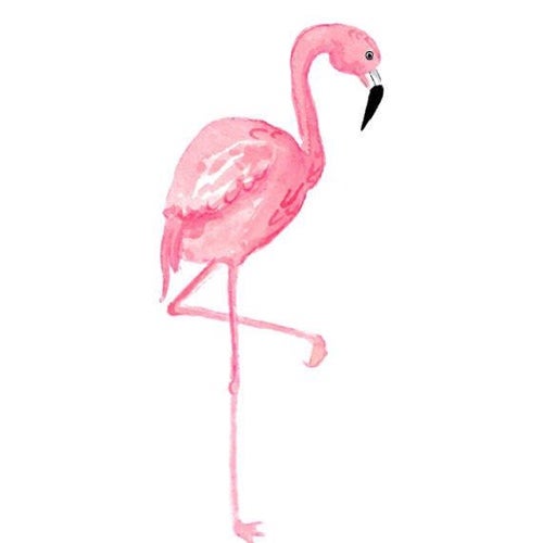 flamingoqueen_'s avatar