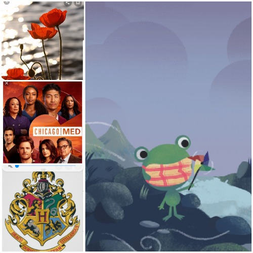 hermionebelleinravendor