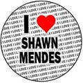 ShawnMendes_stan8