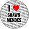 ShawnMendes_stan8