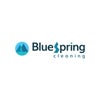 bluespringcleaning
